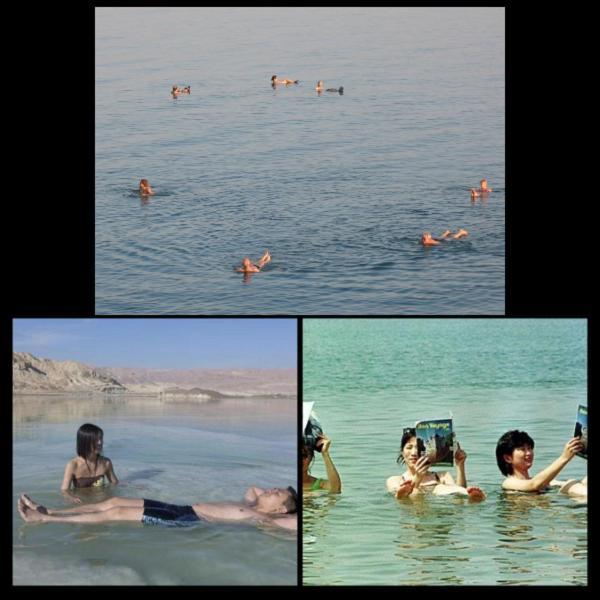 Willa Nadia Hosting Dead Sea Newe Zohar Zewnętrze zdjęcie