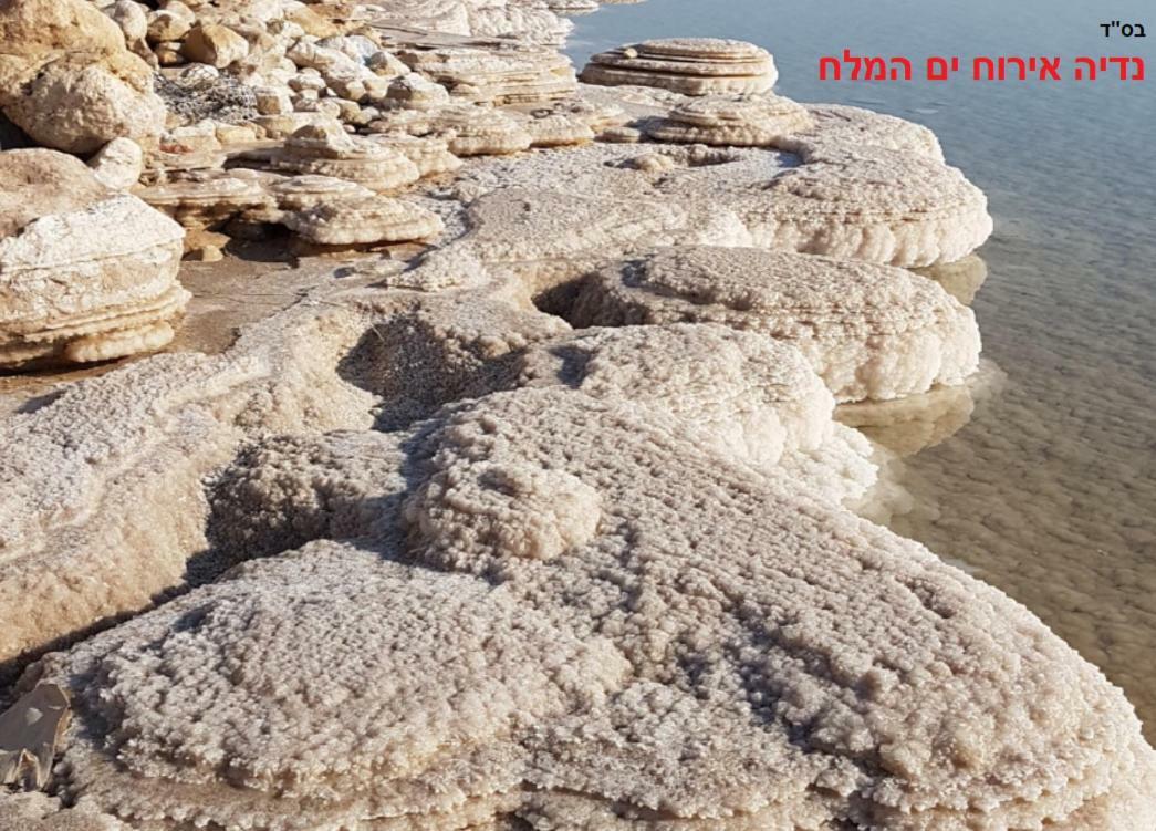 Willa Nadia Hosting Dead Sea Newe Zohar Zewnętrze zdjęcie